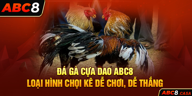 Đá Gà Cựa Dao ABC8 – Loại Hình Chọi Kê Dễ Chơi, Dễ Thắng